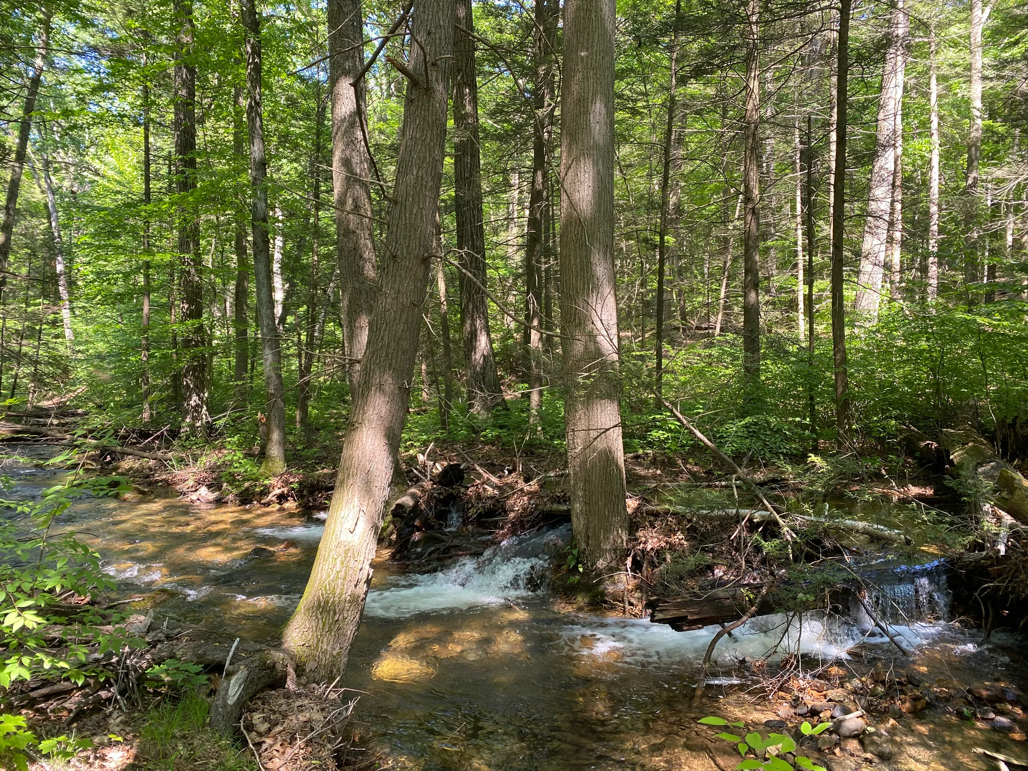 Fowlers Hollow State Park