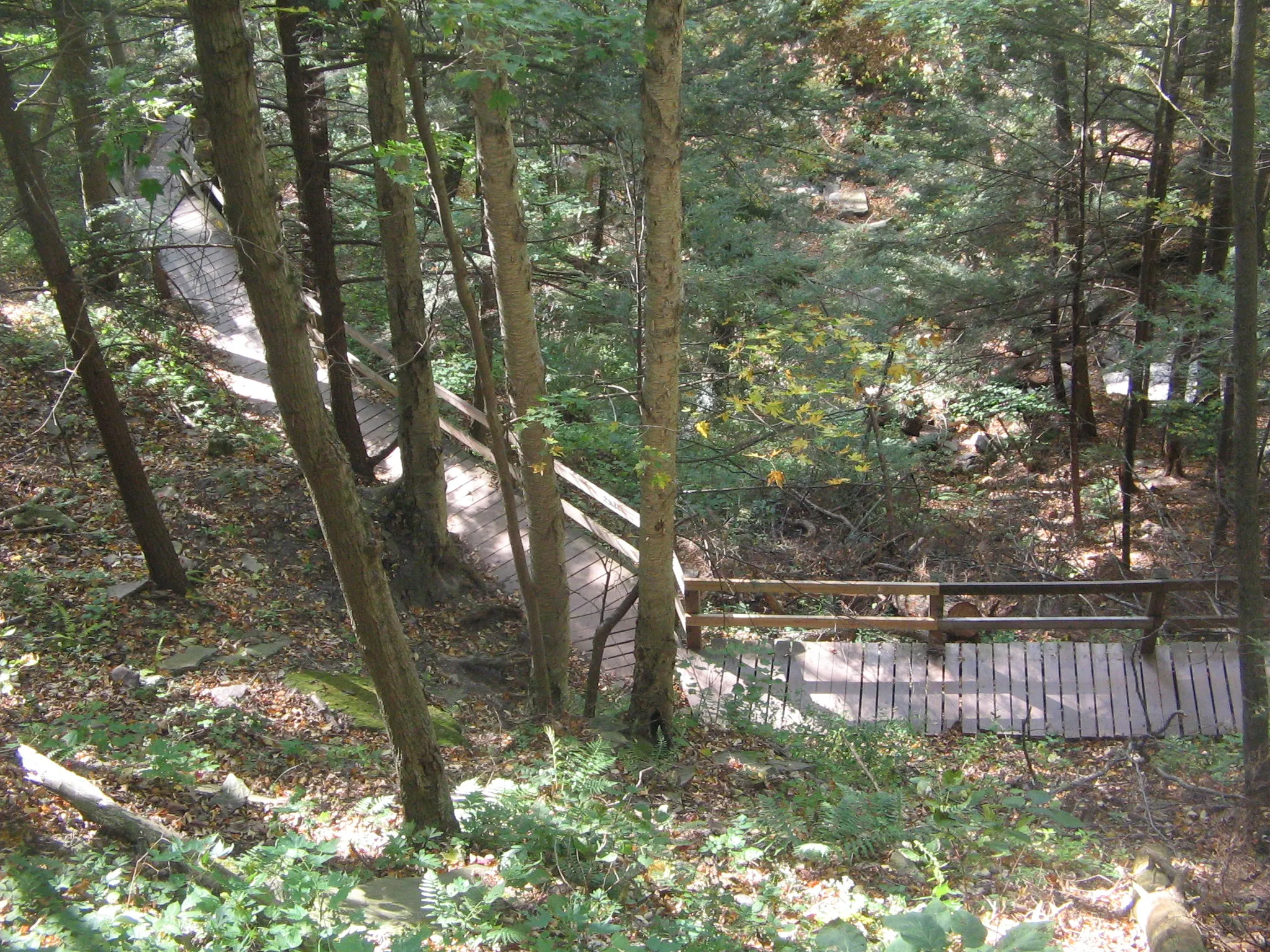Leonard Harrison State Park
