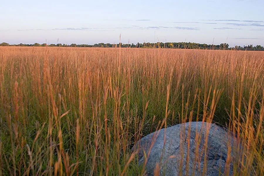 Buffalo River Campground