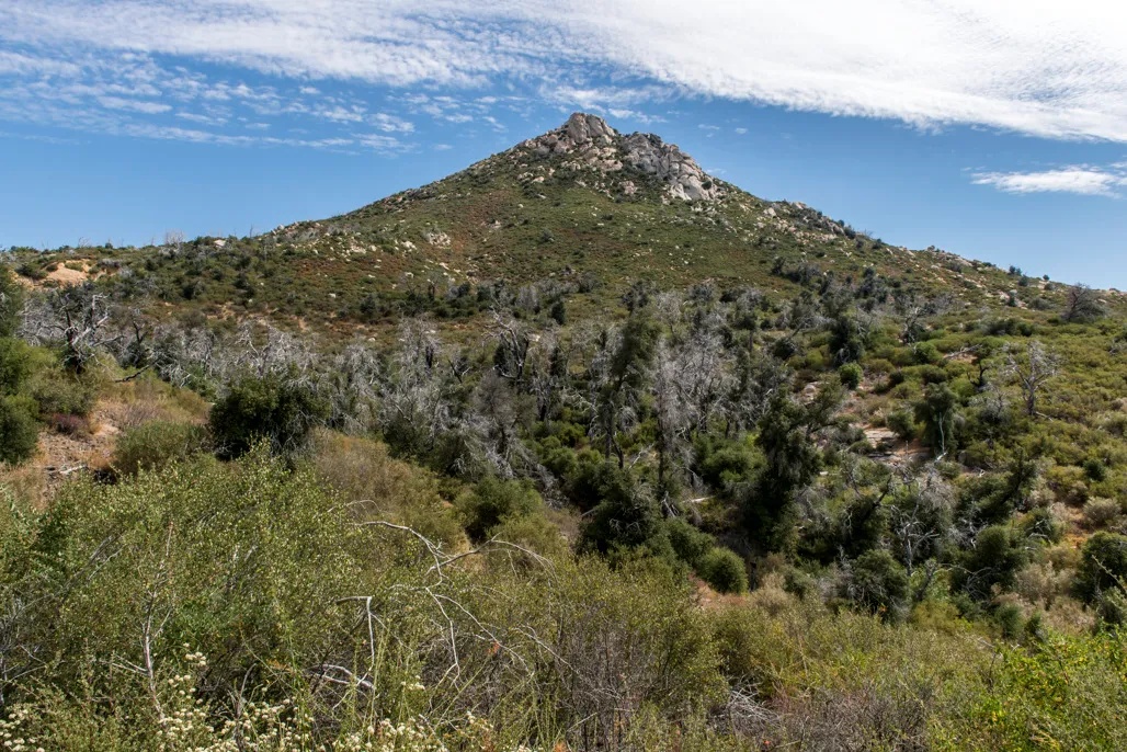 Arroyo Seco Trail Campground
