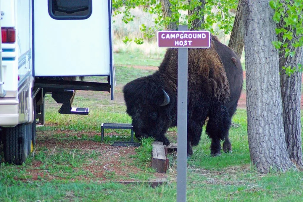 Cottonwood Campground (Nd)