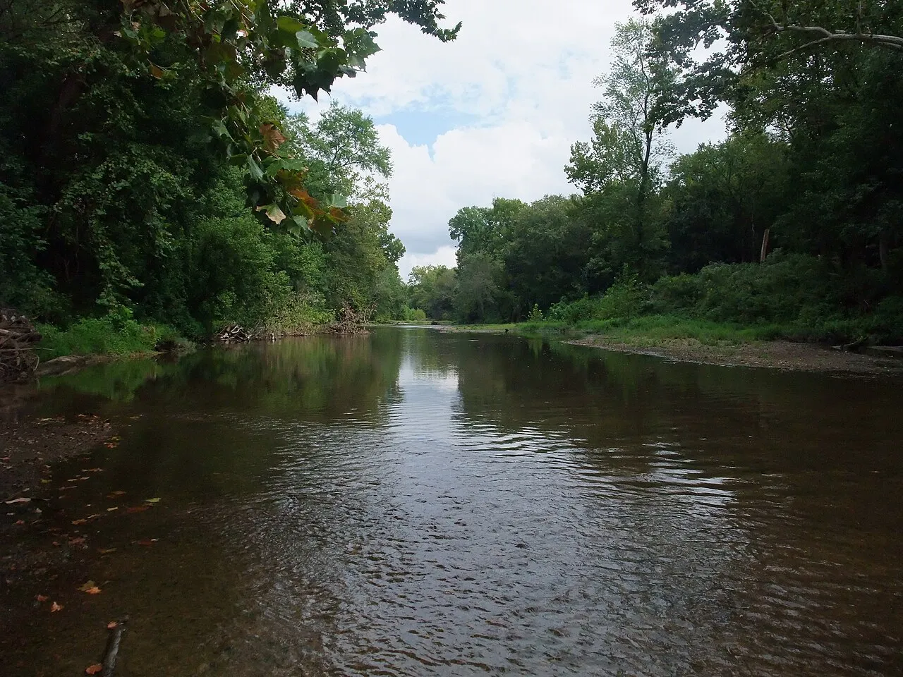 Campground (Sites 64-110)