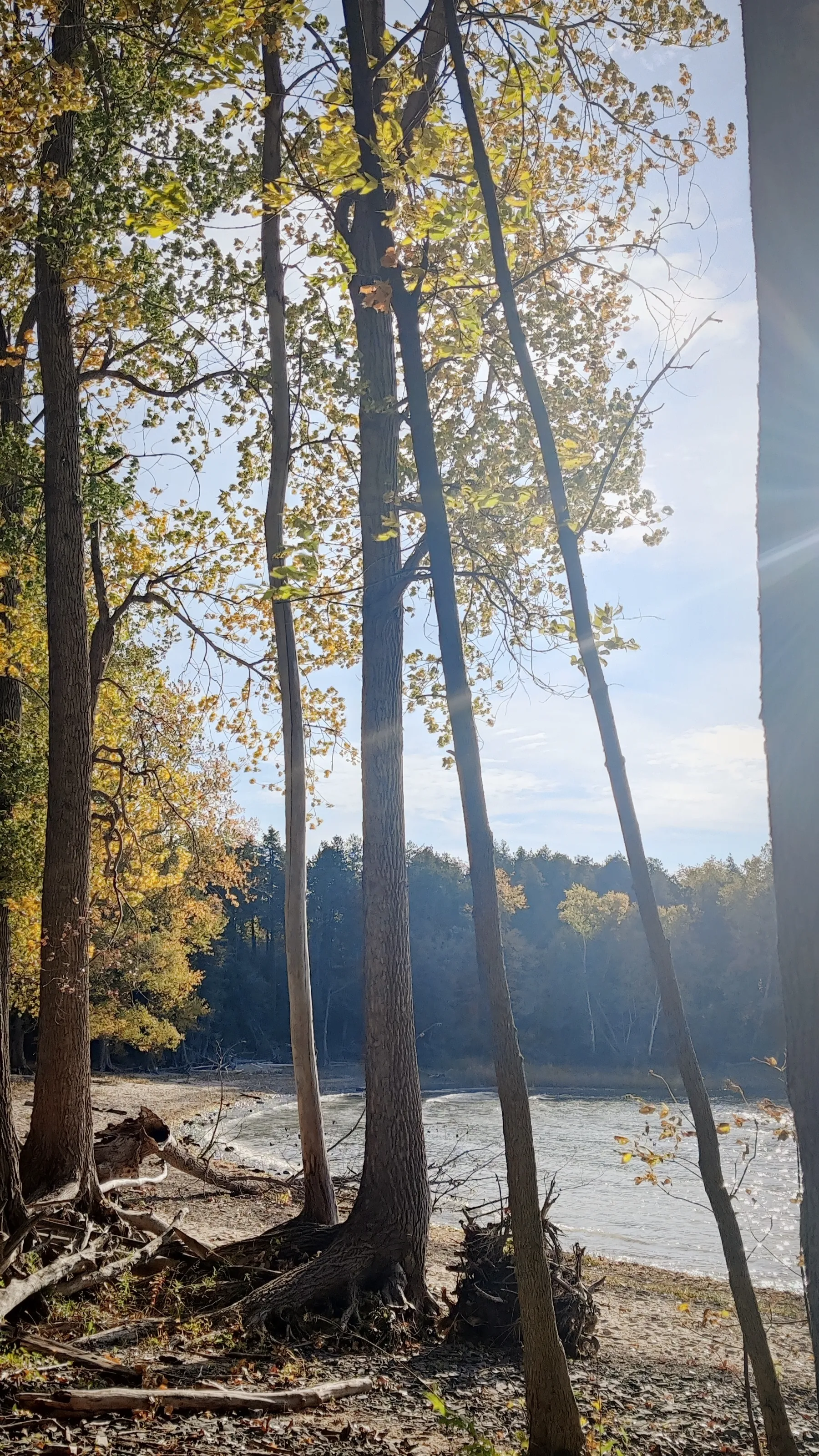 Point Au Roche State Park