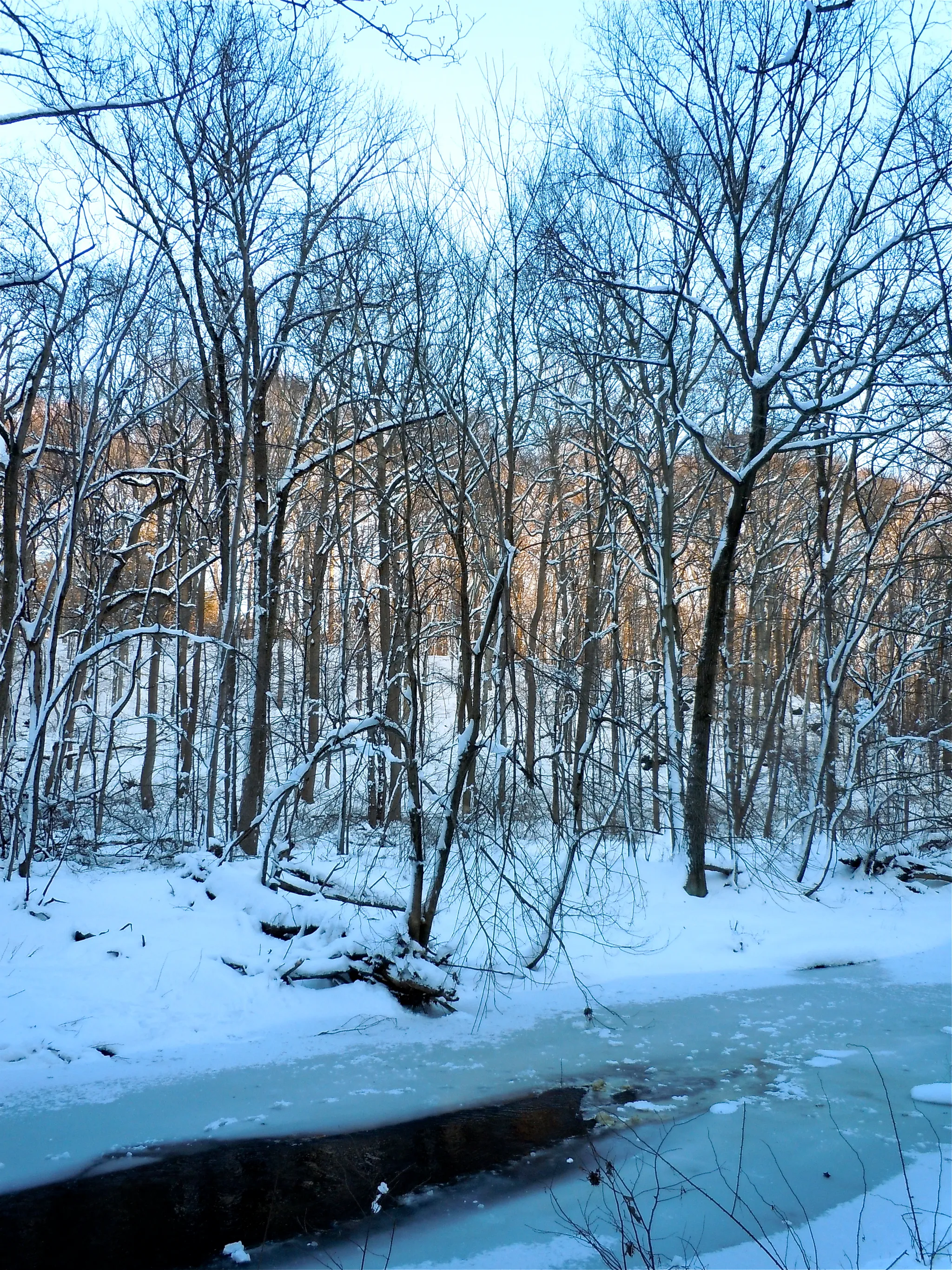 Ridley Creek State Park