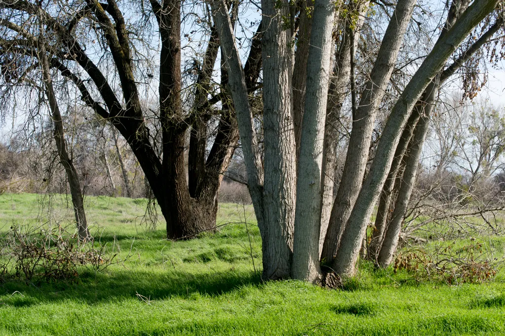 George Hatfield Group Campground