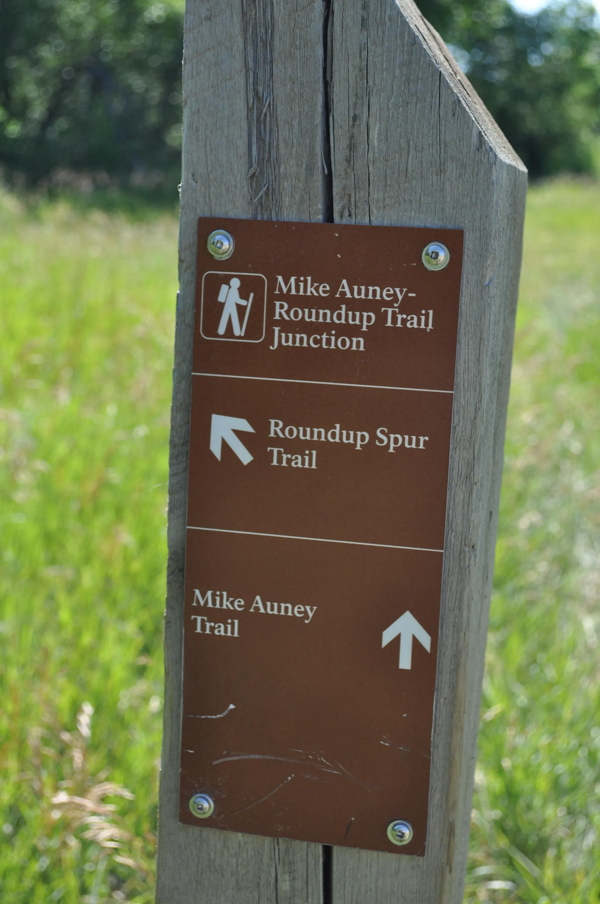 Roundup Group Horse Camp