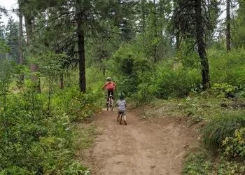 Indian Point Camping Area