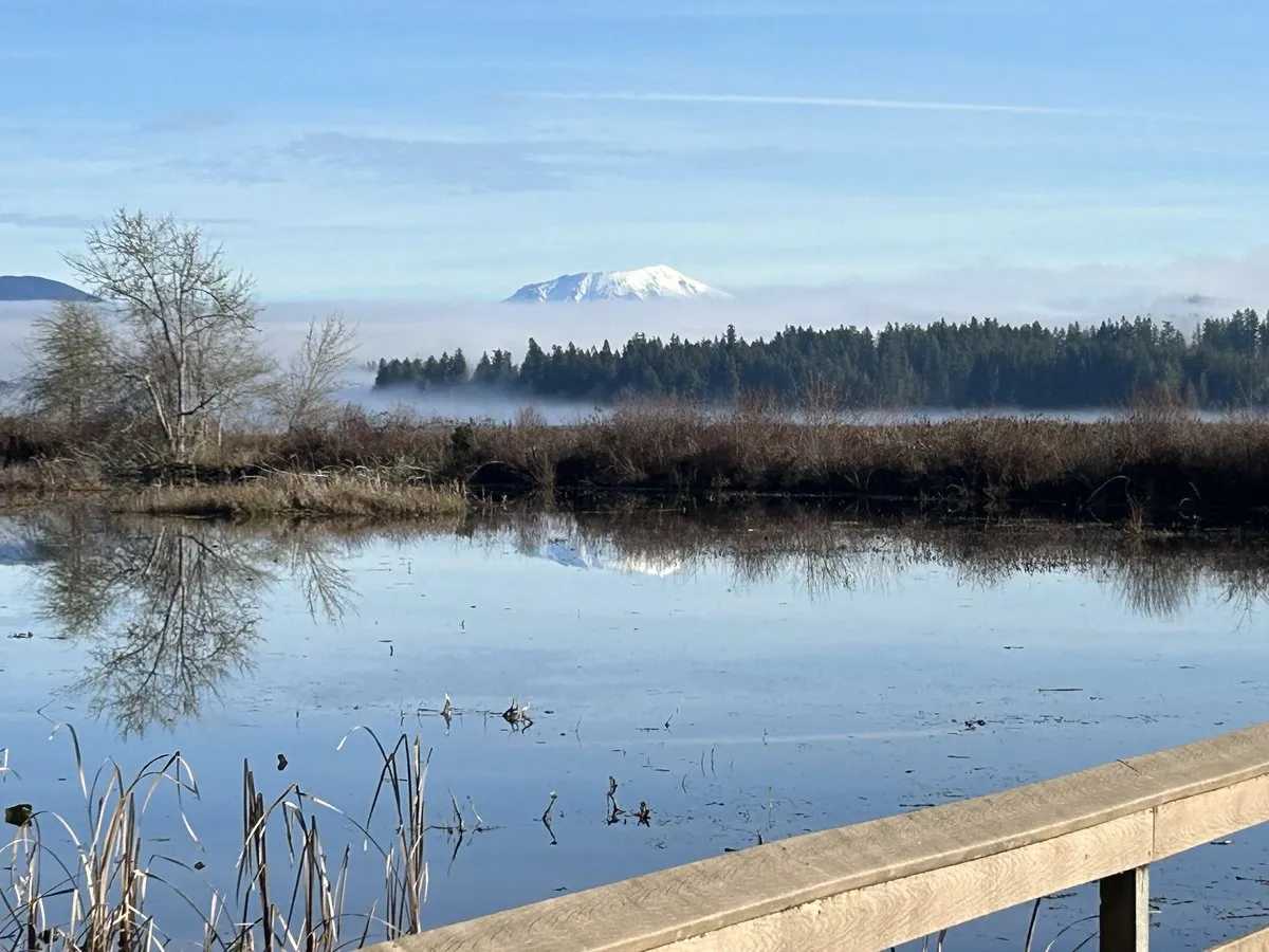 Seaquest State Park