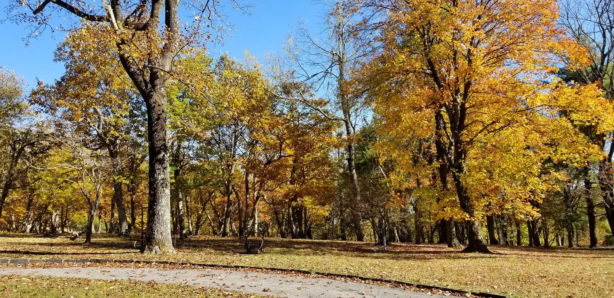 Rocky Knob Campground