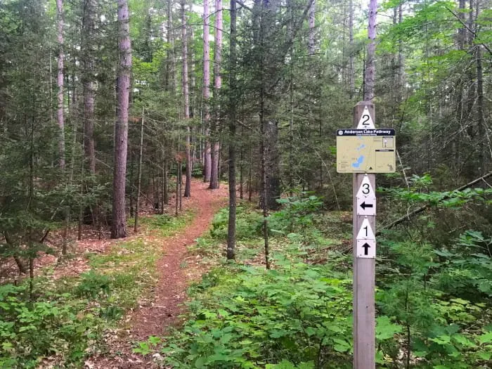 Anderson Lake West State Forest Campground