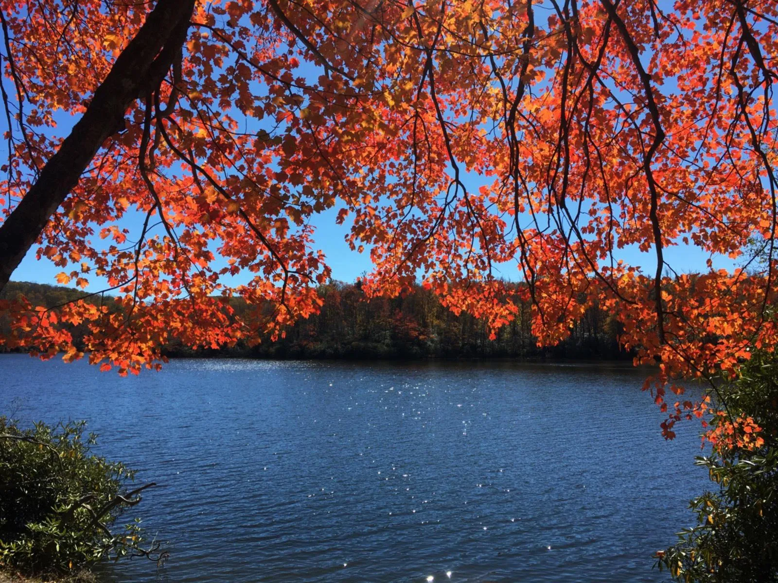 Julian Price Campground