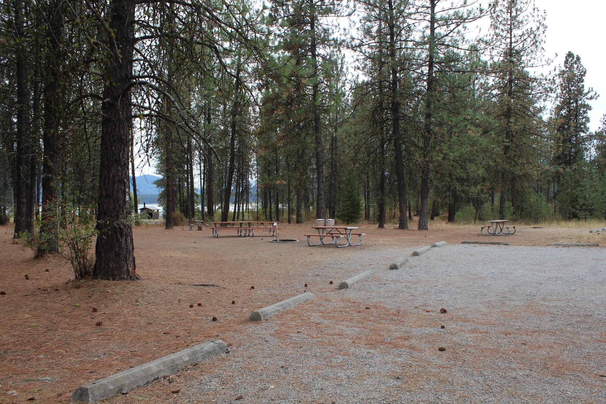 Evans Group Camp