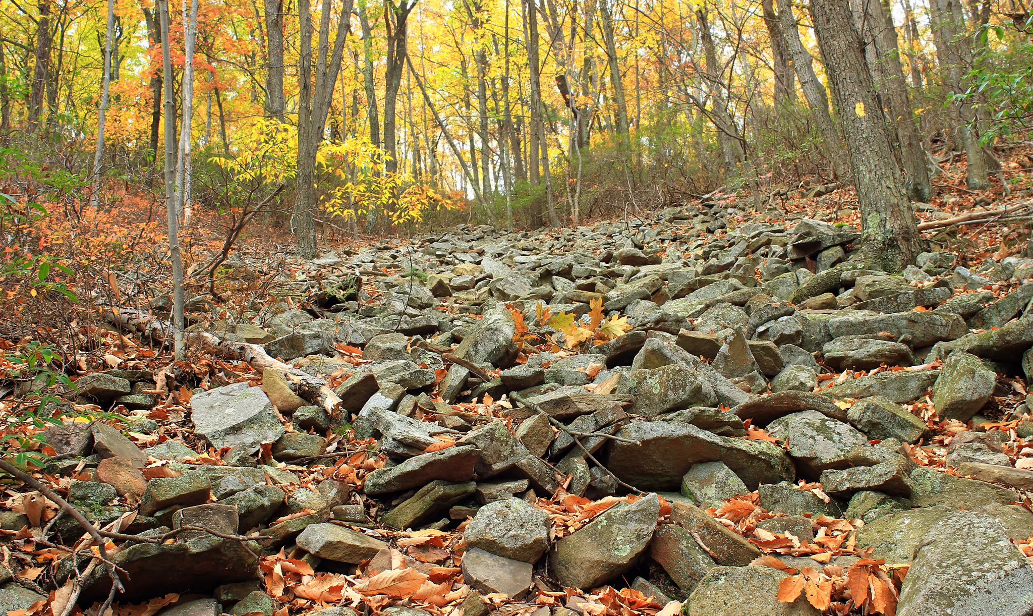 Ravensburg State Park