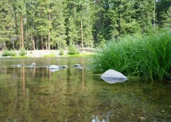 Flat Campground