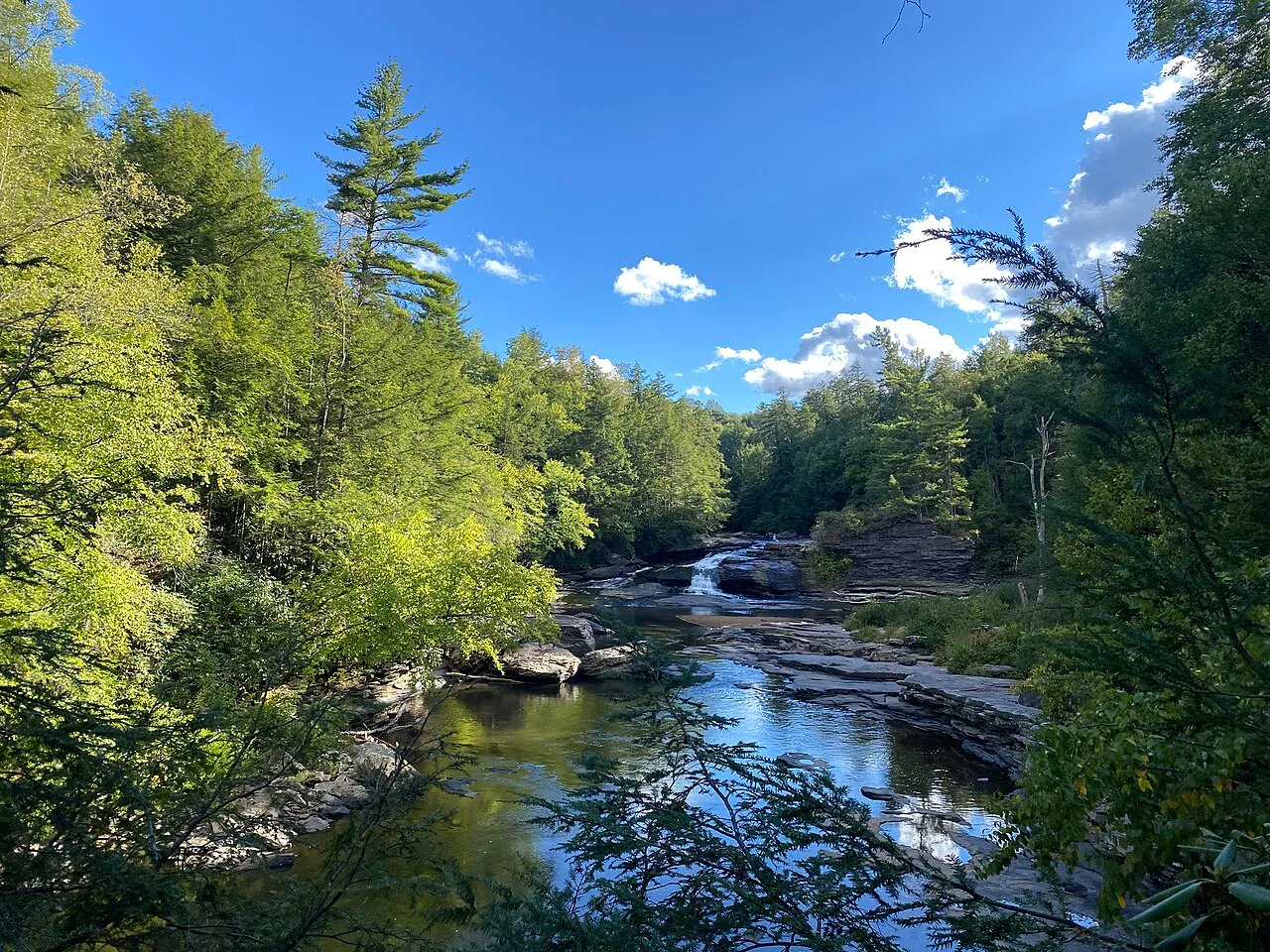Swallow Falls State Park