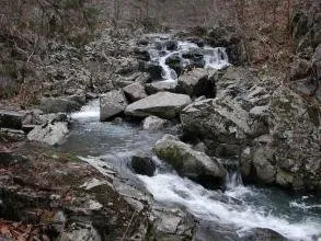 Campground 1 (Sites 44-95 And 195-208)