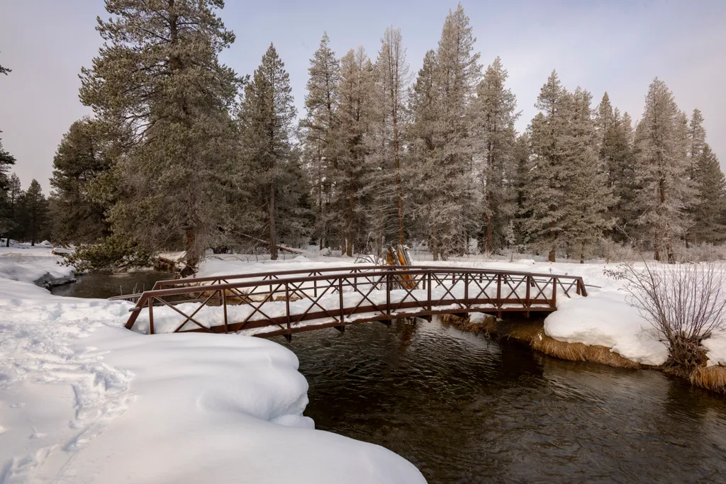 Donner Memorial State Park Campground