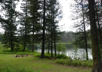 Trout Lake Campground