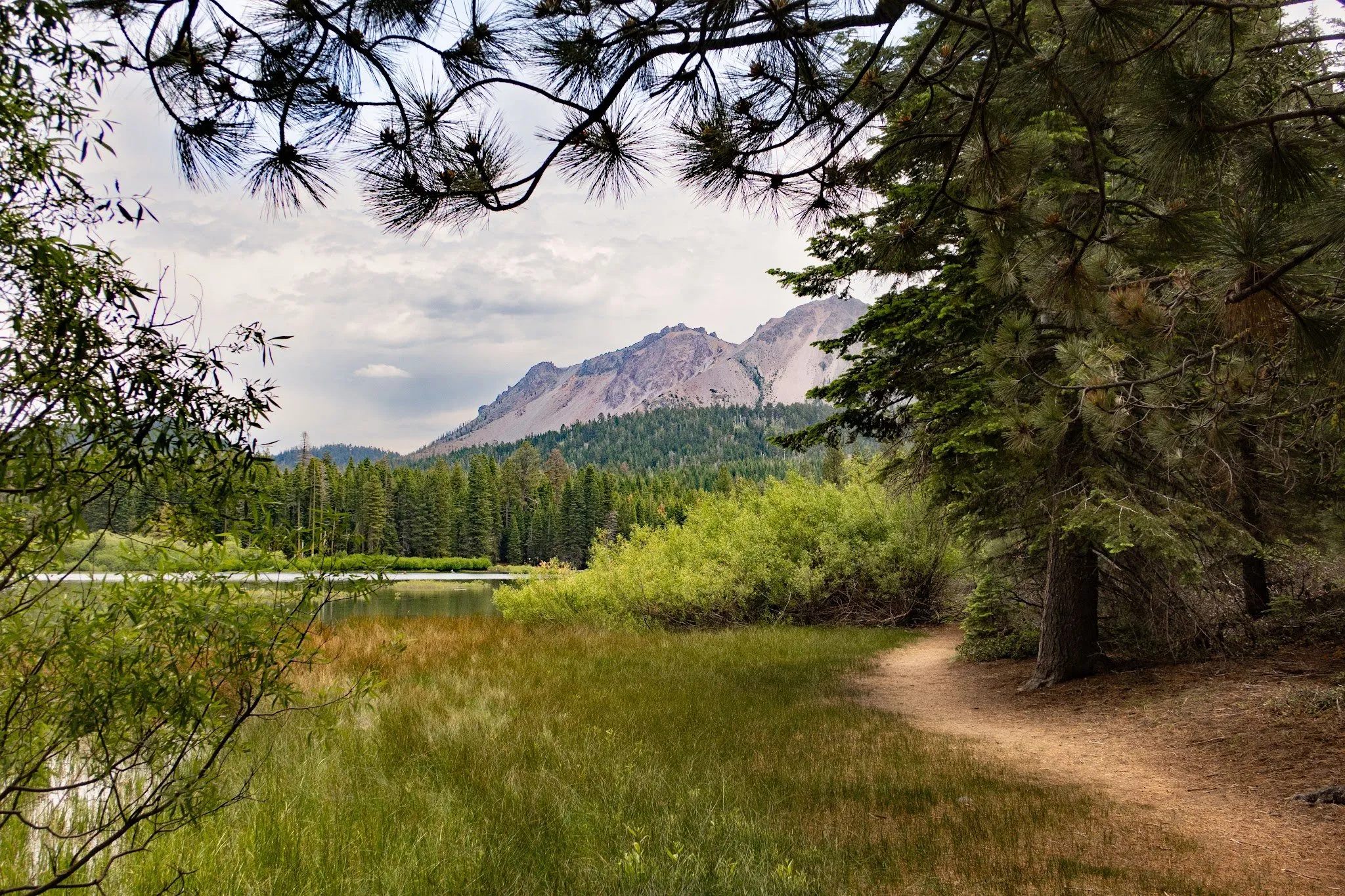 Manzanita Lake Group Campground