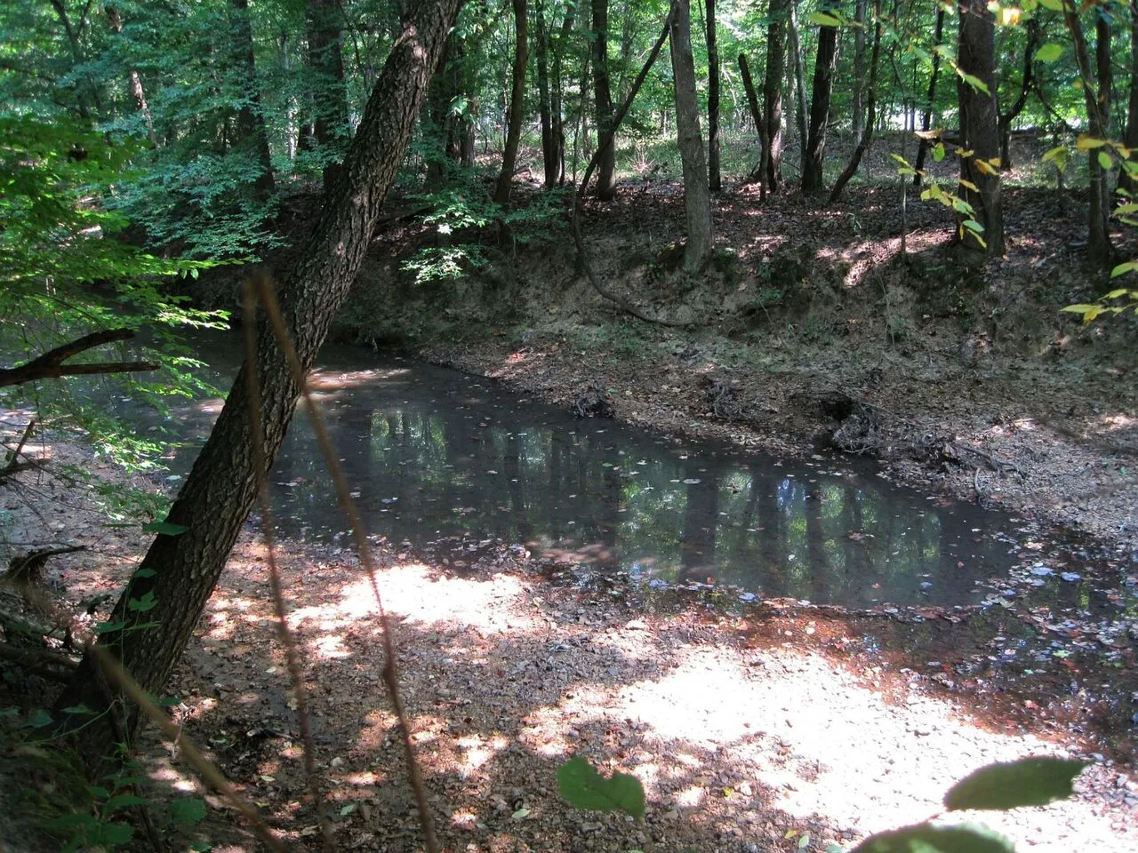 Village Creek State Park