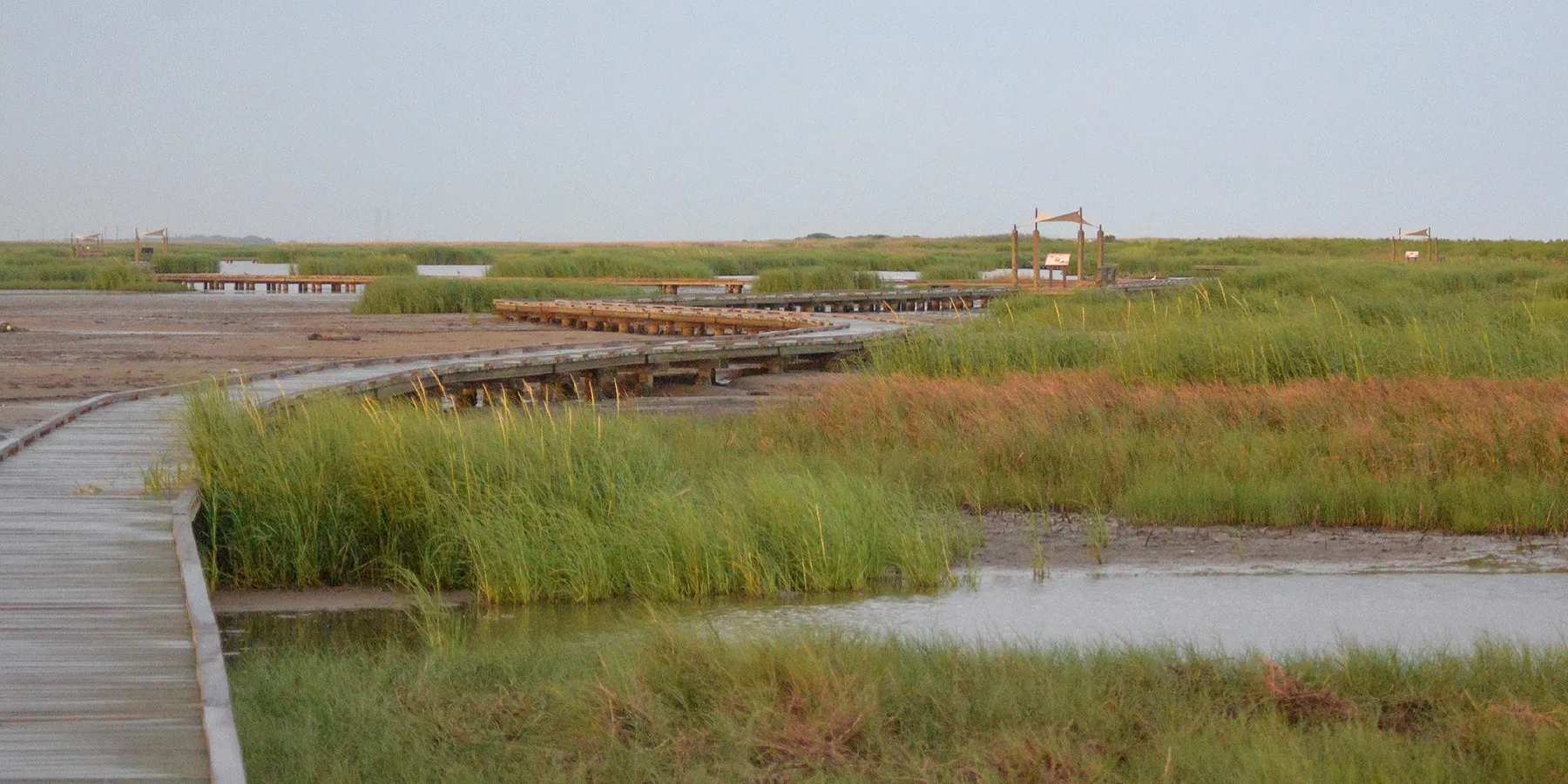 Sea Rim State Park
