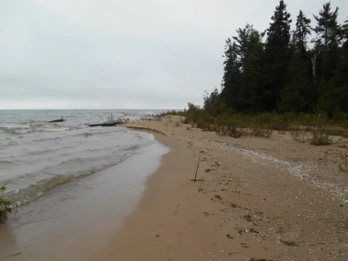 Detour State Forest Campground