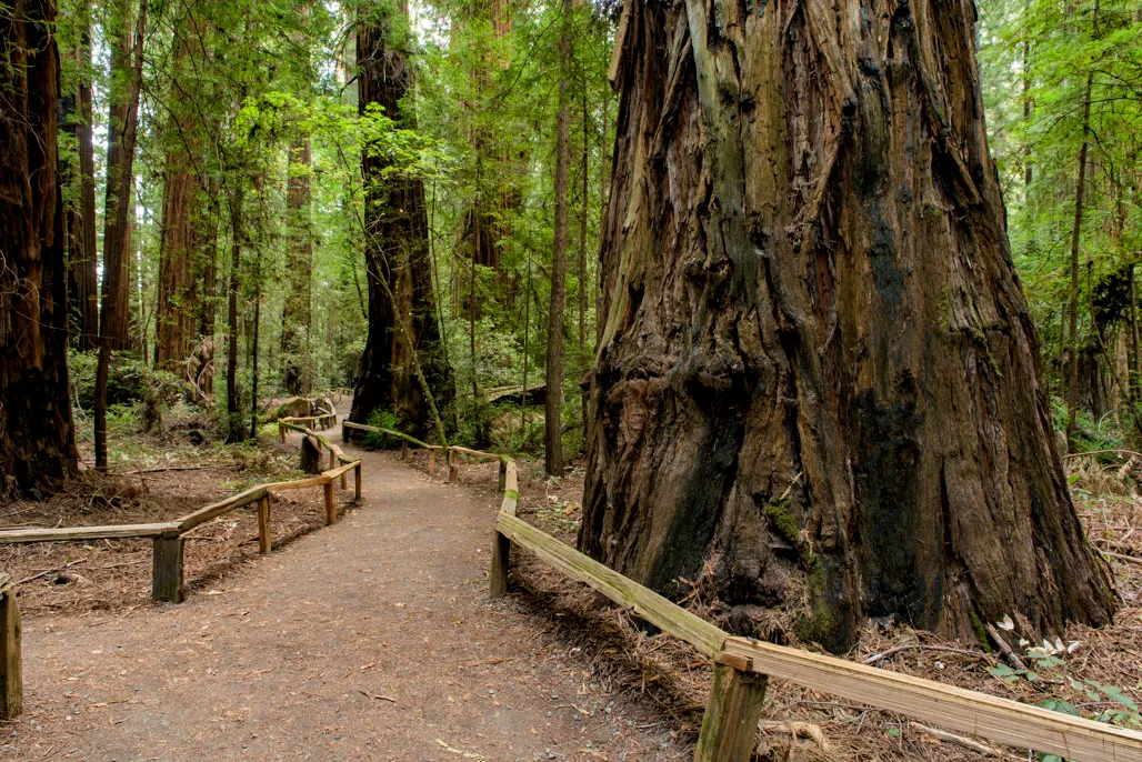 Huckleberry Campground