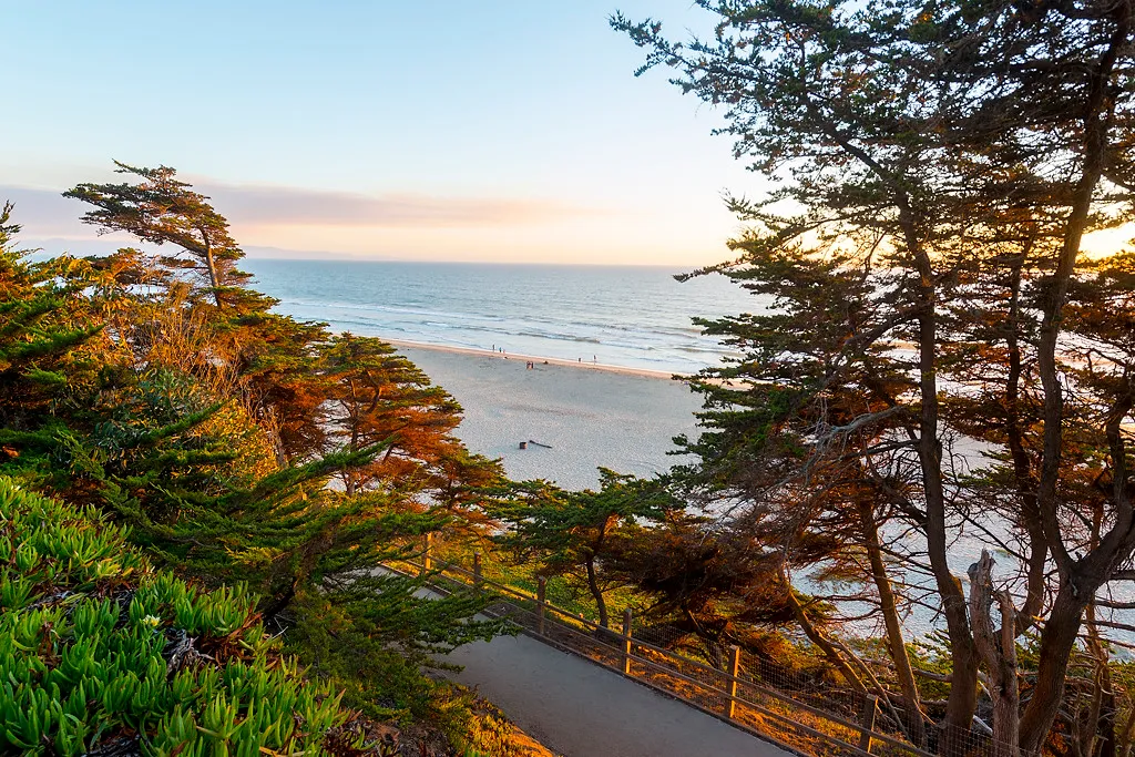 Manresa State Beach Campground