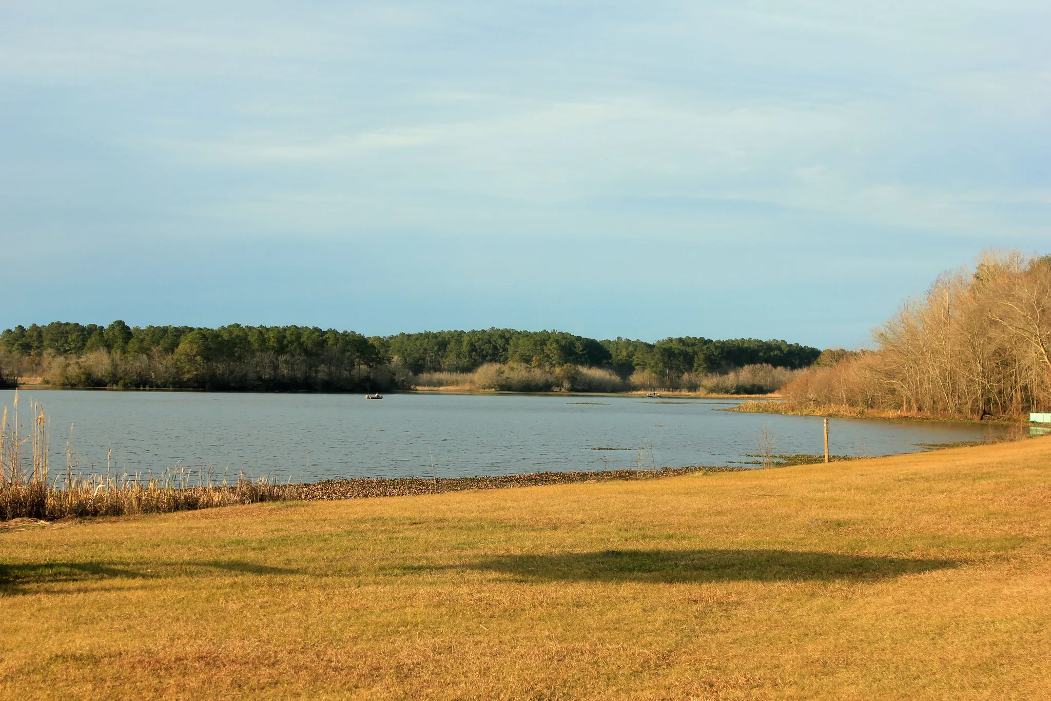 Reed Bingham State Park