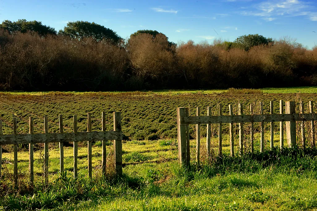 Wilder Ranch Campground