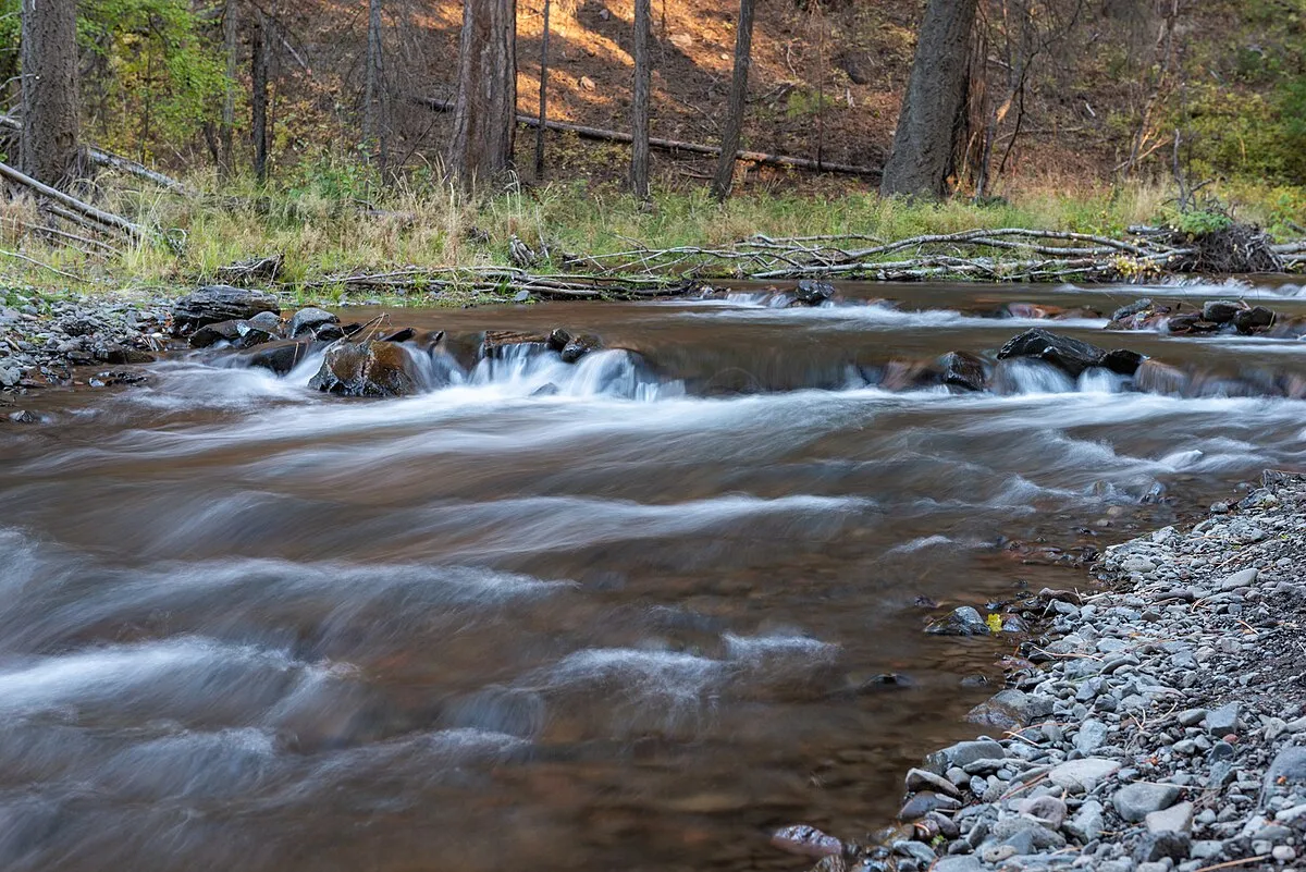 South Fork Campground