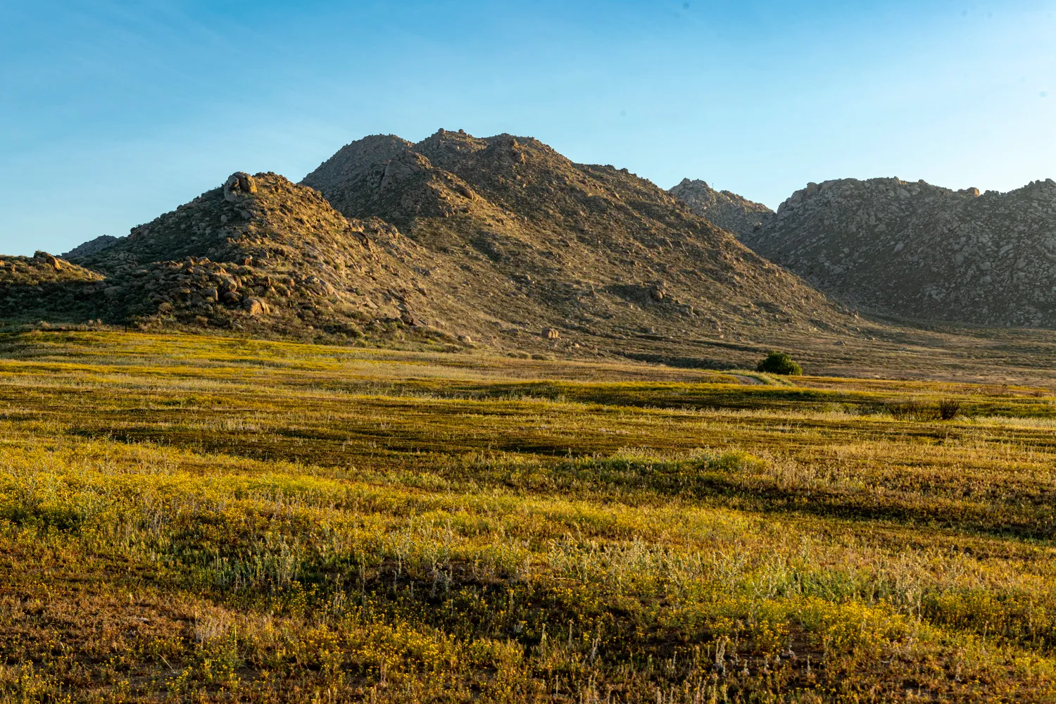Roadrunner Campground