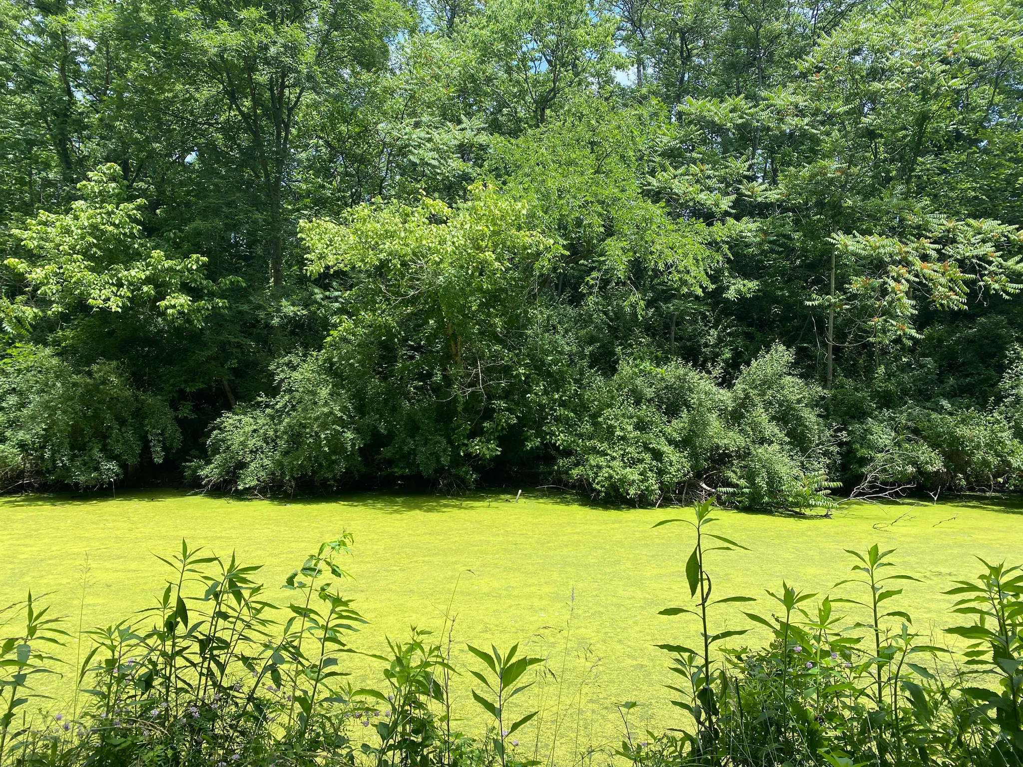 Fowlers Hollow State Park