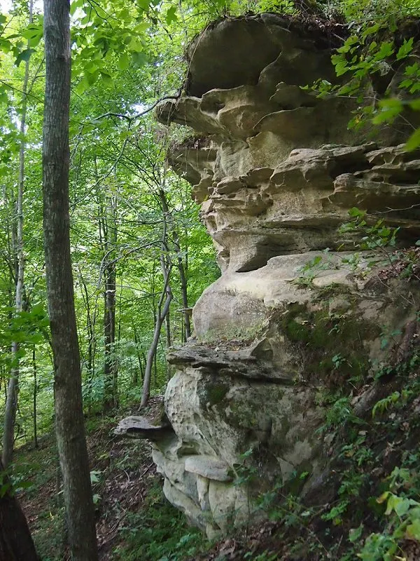 Wildcat Mountain State Park