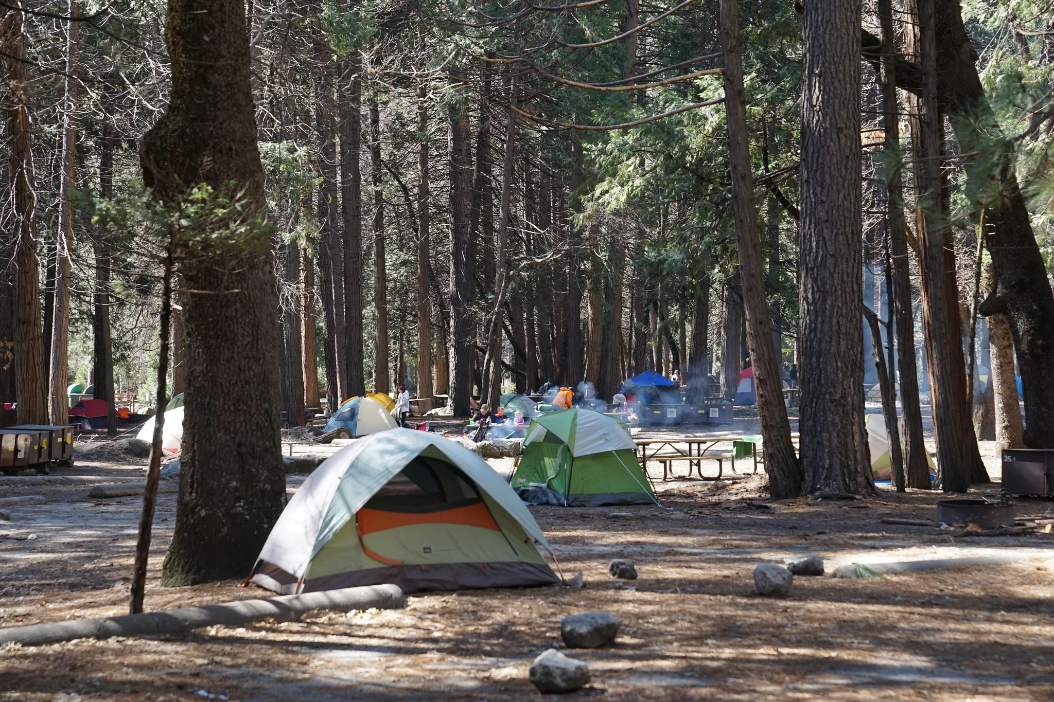 Cabin Camp 4 (By Reservation Only)