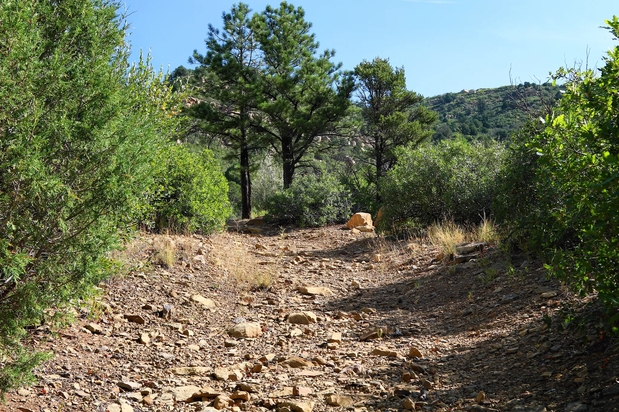 Sugarite Canyon