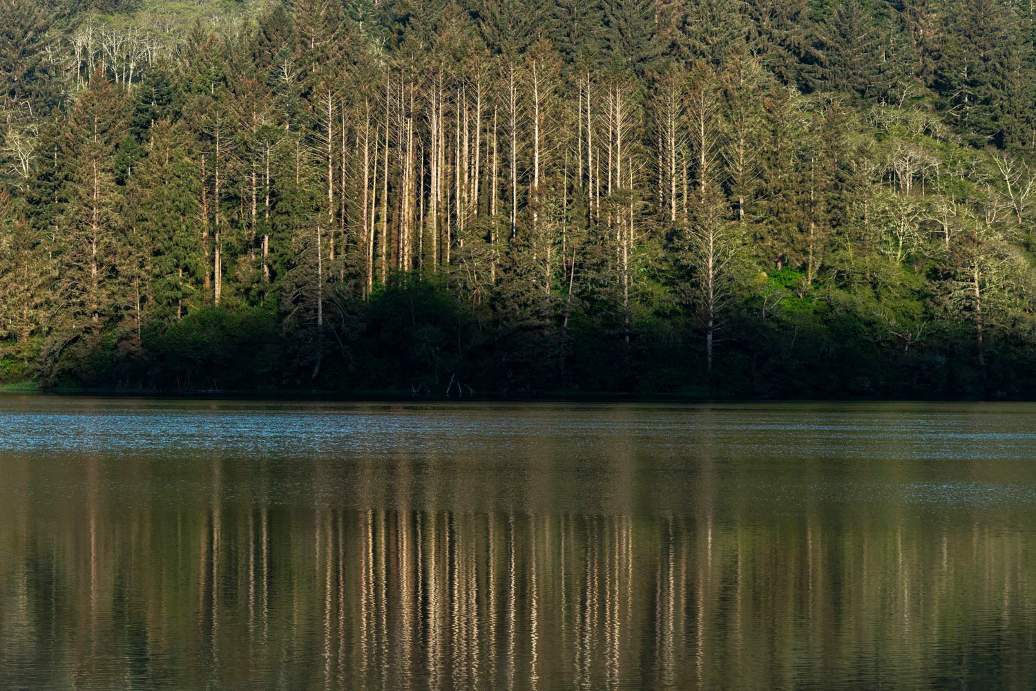 Stone Lagoon Boat-In Campground