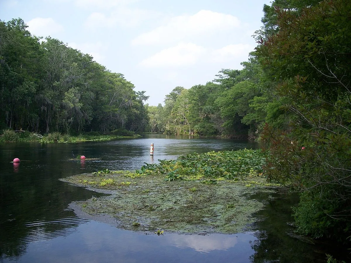 Silver Springs State Park Campground