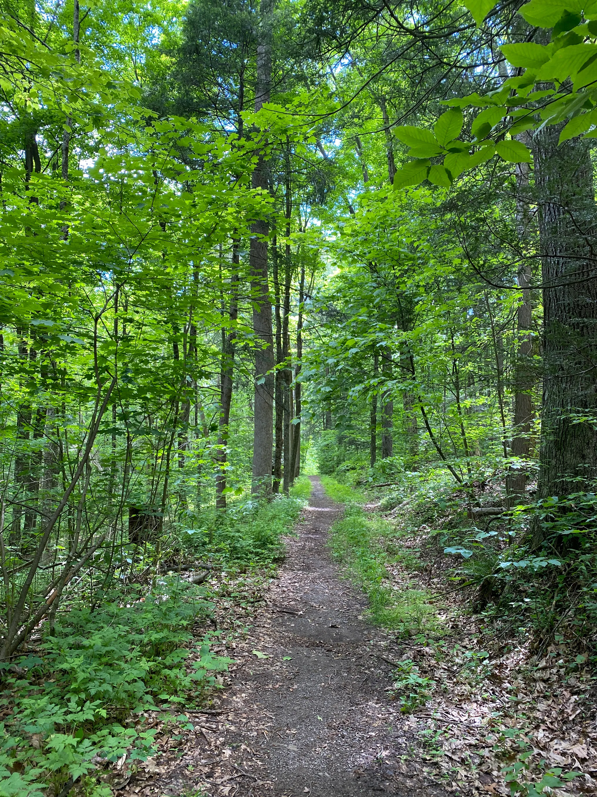 Fowlers Hollow State Park