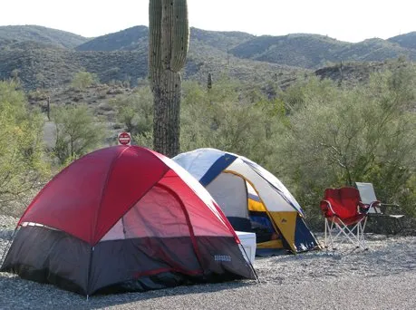 Ringtail Campground