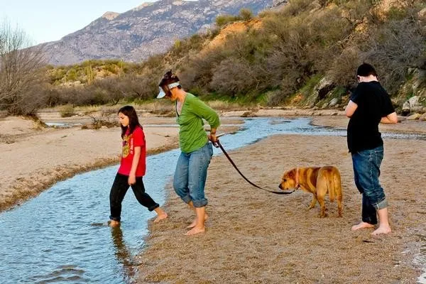 Ringtail Campground