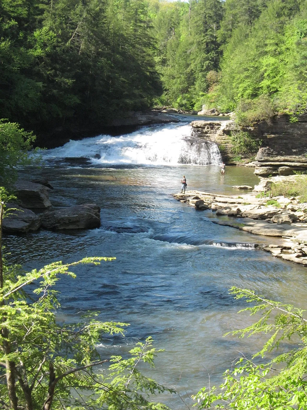 Swallow Falls State Park