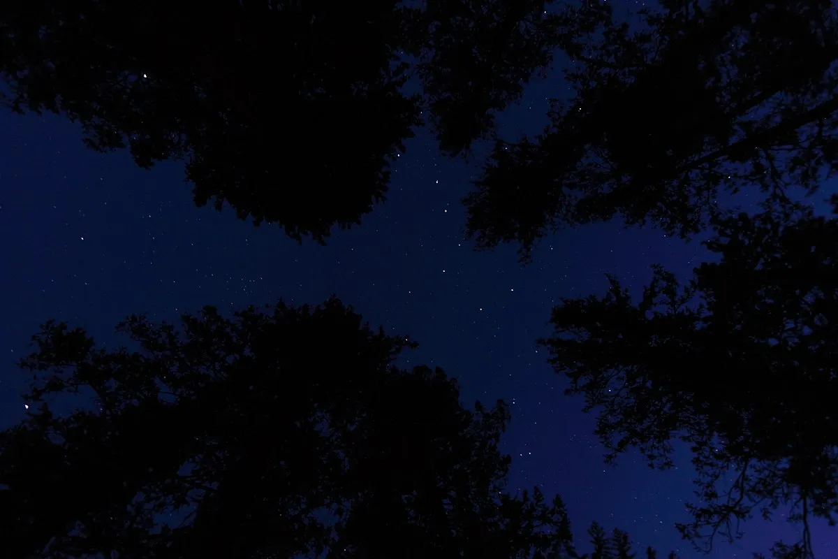 Ballard Campground