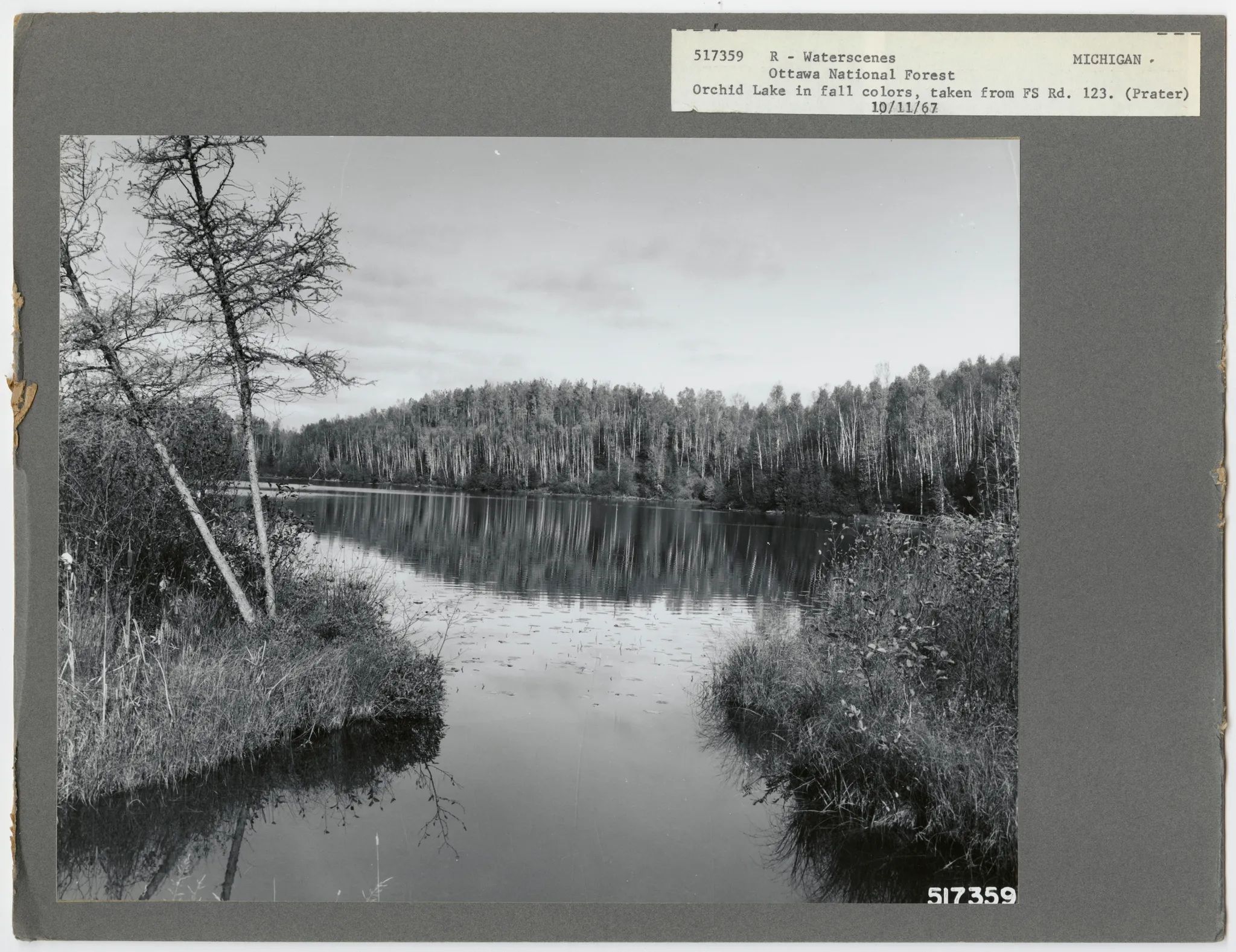 Imp Lake Campground