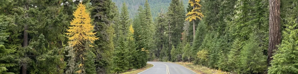 Little Badger Campground