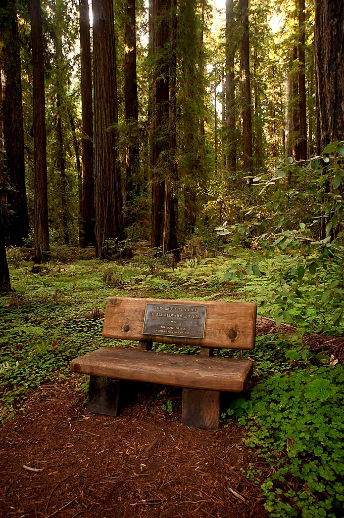 Azalea Campground
