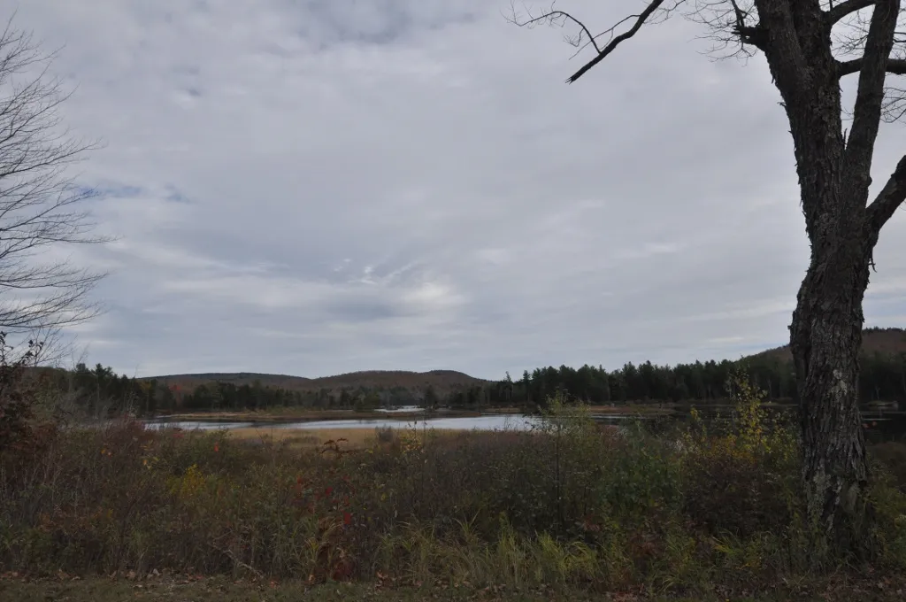 Pillsbury State Park
