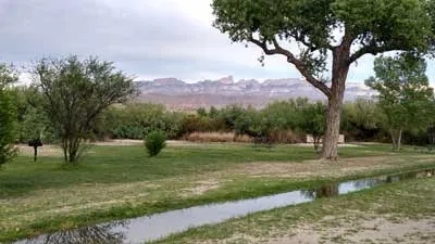 Rio Grande Village Group Campground (Big Bend, Tx)