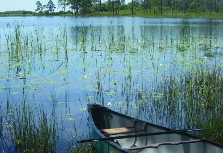 Grayton Beach State Park Campground