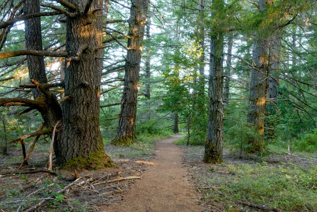 Standish-Hickey State Recreation Campground
